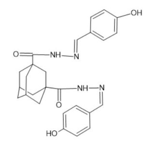 A2P-Care-300x297