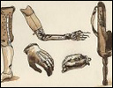 Prosthetic-Devices