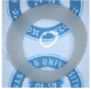 lens