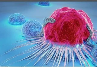 Immunotherapeutic