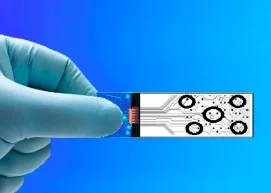 Pharmaceutical & Life Sciences