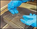 Sterlization
